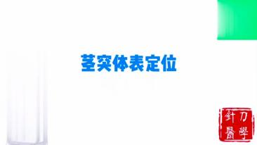 茎突体表定位视频封面