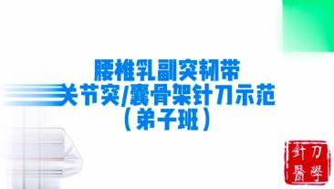 腰椎乳副突韧带关节突关节囊骨架针刀示范视频封面