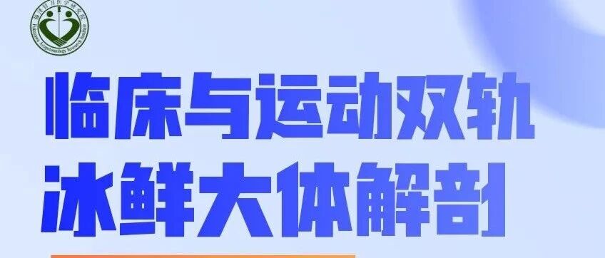 145期人体解剖+评估+进针正骨实操，不容错过！——十年深耕解剖，进针破局新生！培训封面