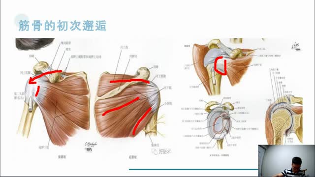 刘胜博士——肩周炎整体思路·078视频封面