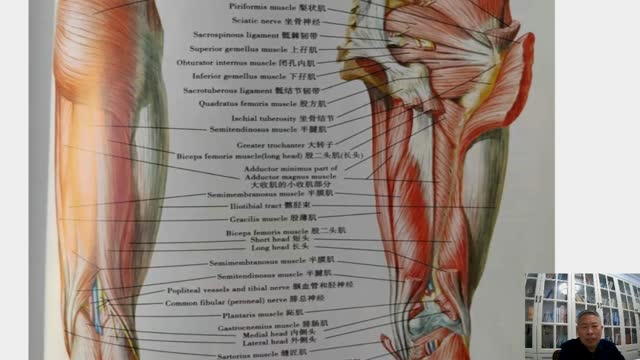坐骨神经痛定位定点及30年临床进针技巧·083视频封面
