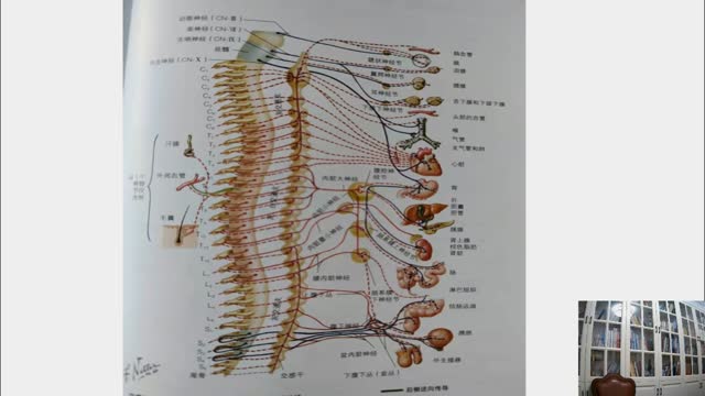 纯干货分享——心脏房颤定位定点及30年临床进针技巧·109视频封面