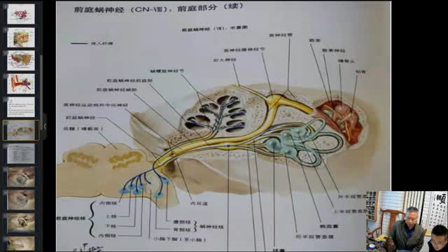 耳鸣四步定位诊断及治疗方法·114视频封面