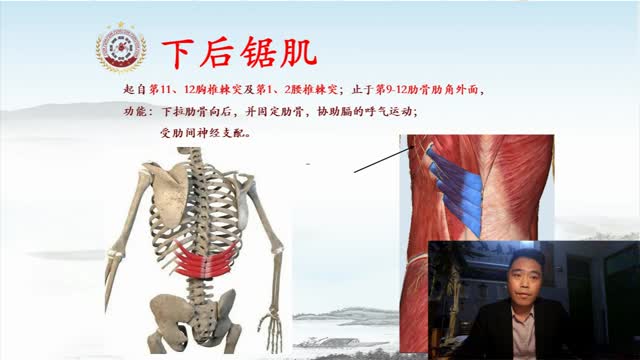 腰椎病精细解剖及治疗(腰间盘突出症)——王少华·120视频封面