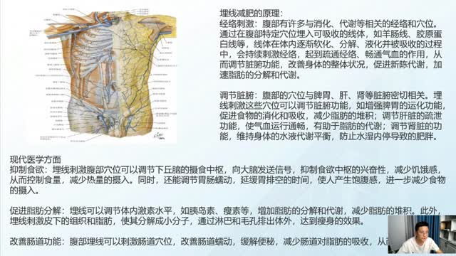 内脏解剖系列课程第二节视频封面