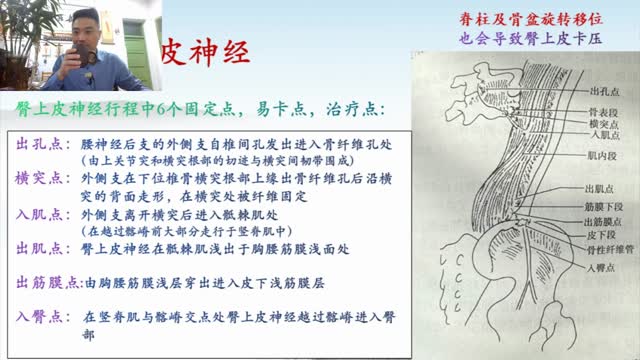 第三十五讲:腰椎相关疾病(坐骨神经痛、股外侧皮神经痛)视频封面