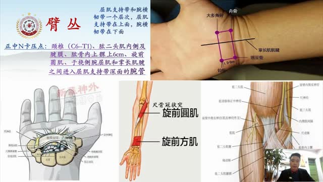 第六讲:臂丛神经分支及交感神经常见卡压点和治疗方法视频封面