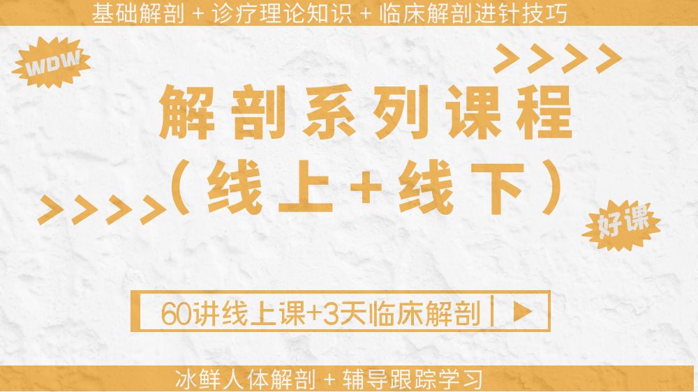 解剖线上线下系列课程课程封面