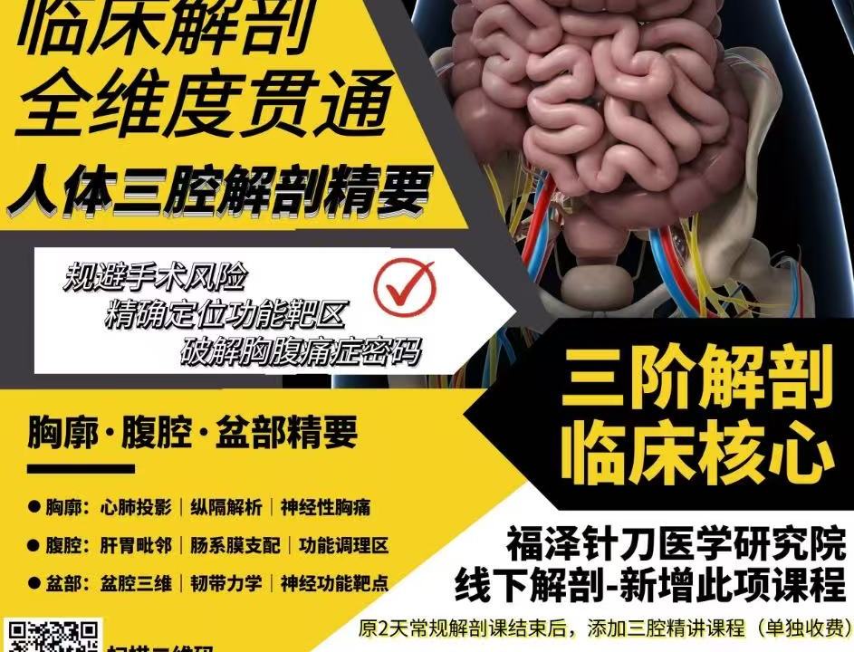 内脏解剖系列课程课程封面