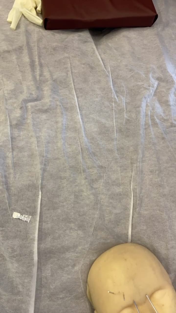 第二天晚上（剪辑回放）视频封面