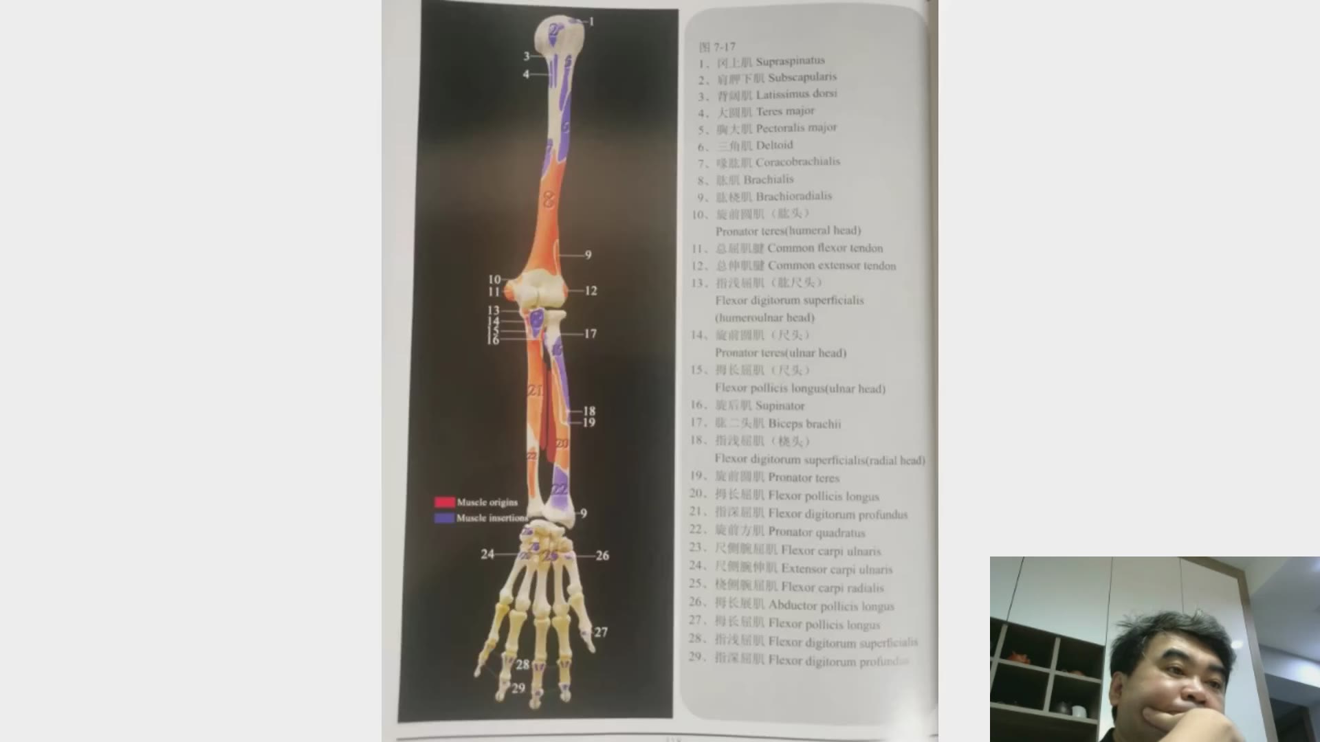 第十讲：定位【肩部及上臂】压痛点，对应病症详解治法视频封面