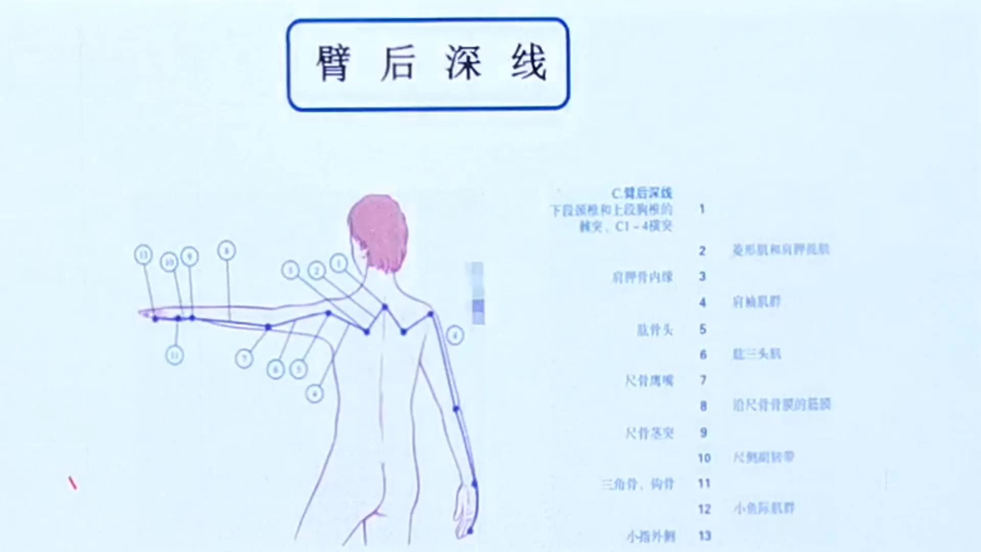 肩周不适找颈椎视频封面