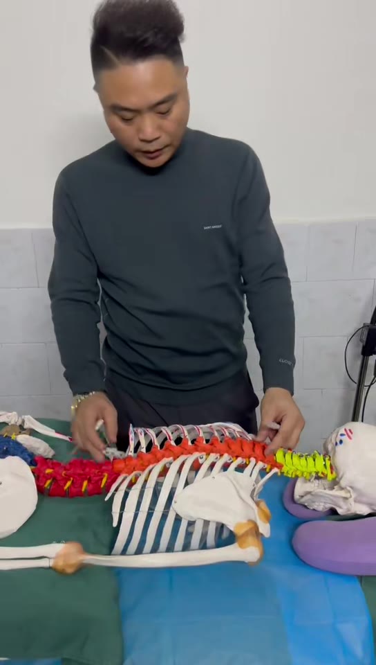胸椎的定位视频封面