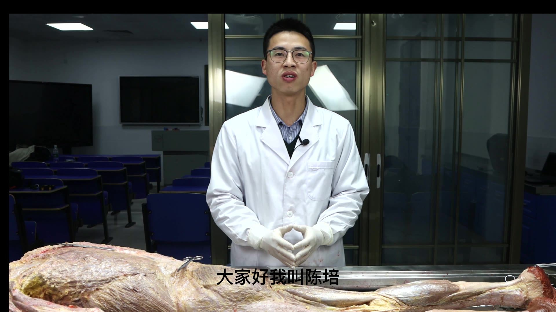 陈培临床解剖01半膜半腱肌视频封面