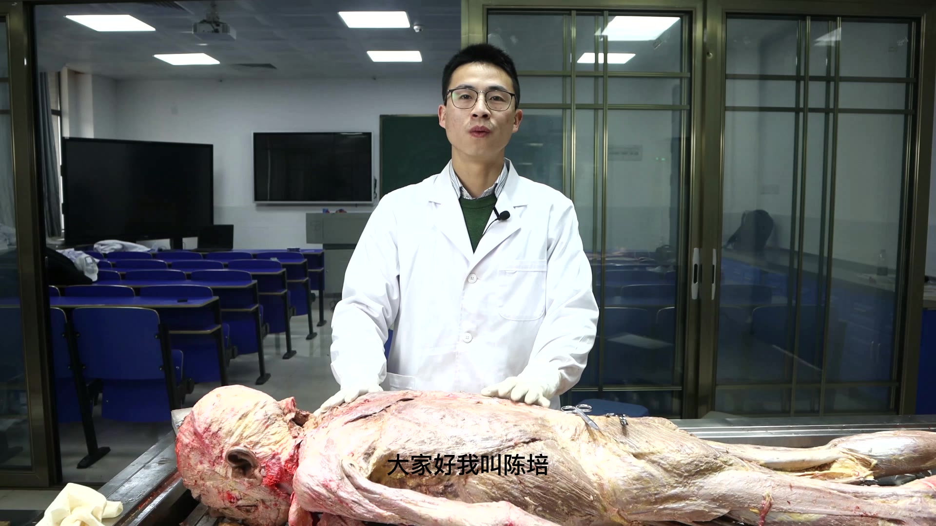 陈培临床解剖02背阔肌视频封面