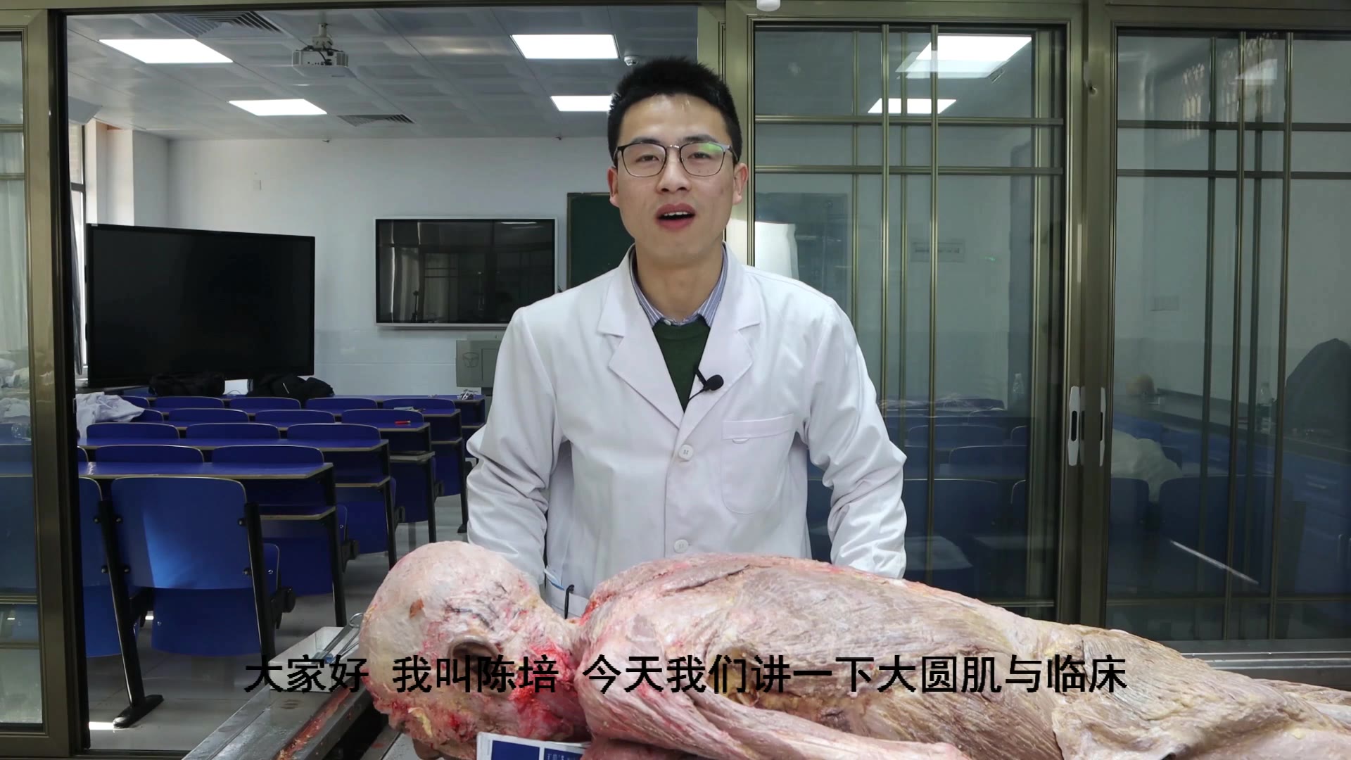 陈培临床解剖03大圆肌视频封面