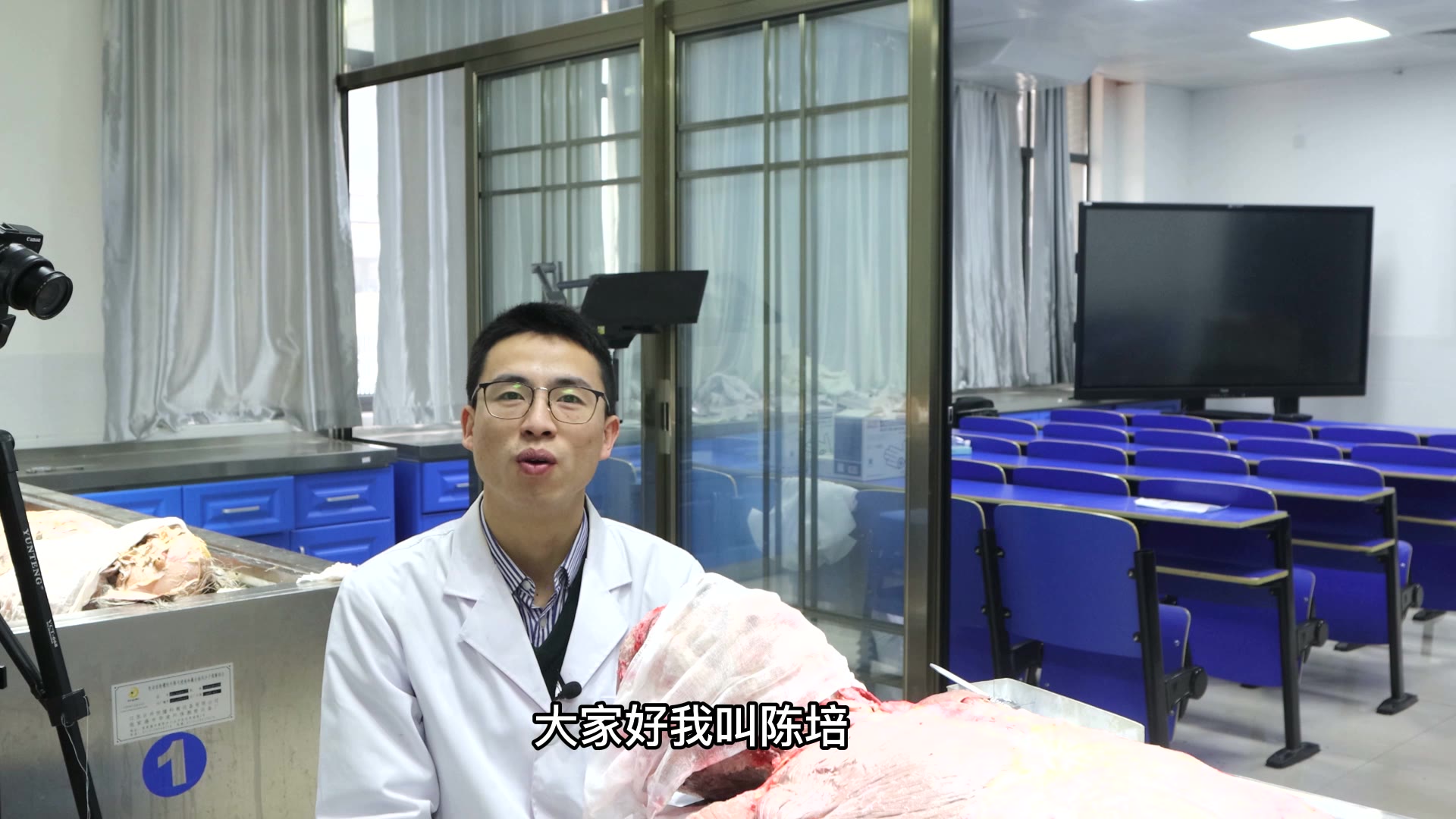 陈培临床解剖04额肌帽状健膜枕肌视频封面