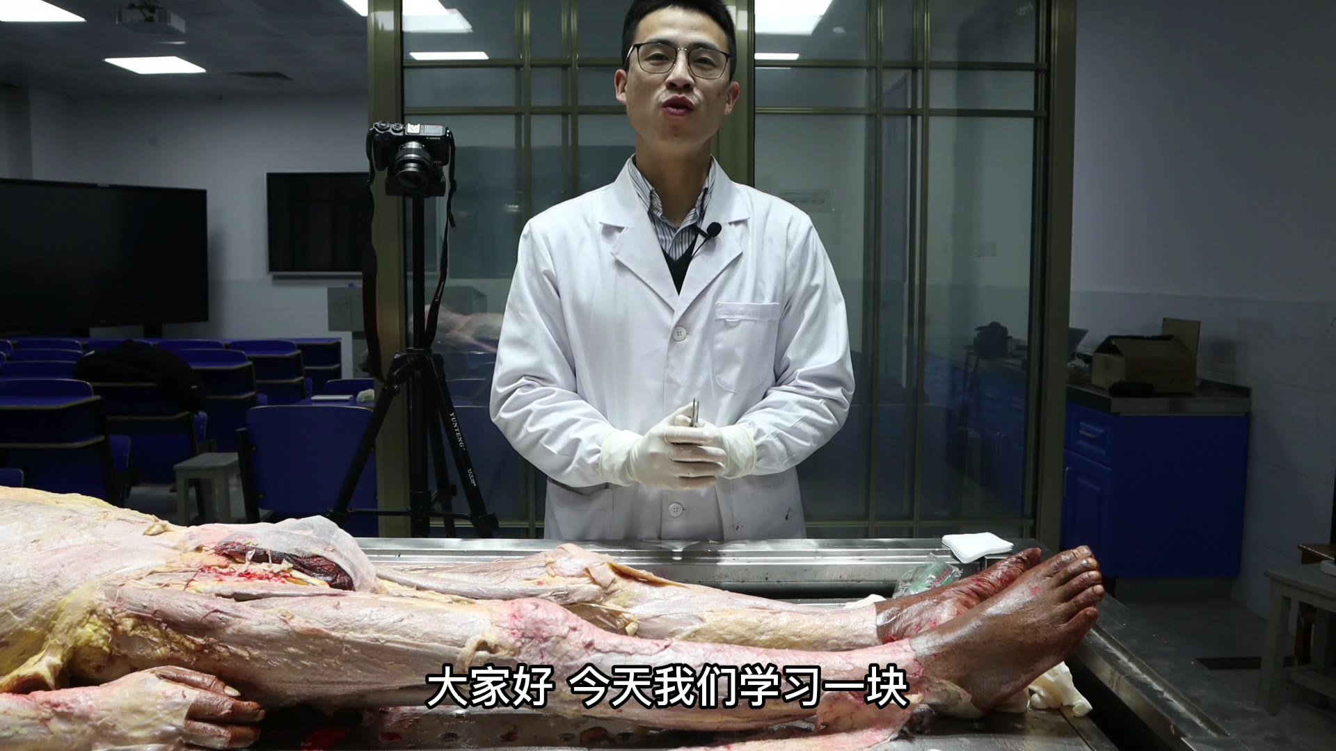 陈培临床解剖06缝匠肌视频封面