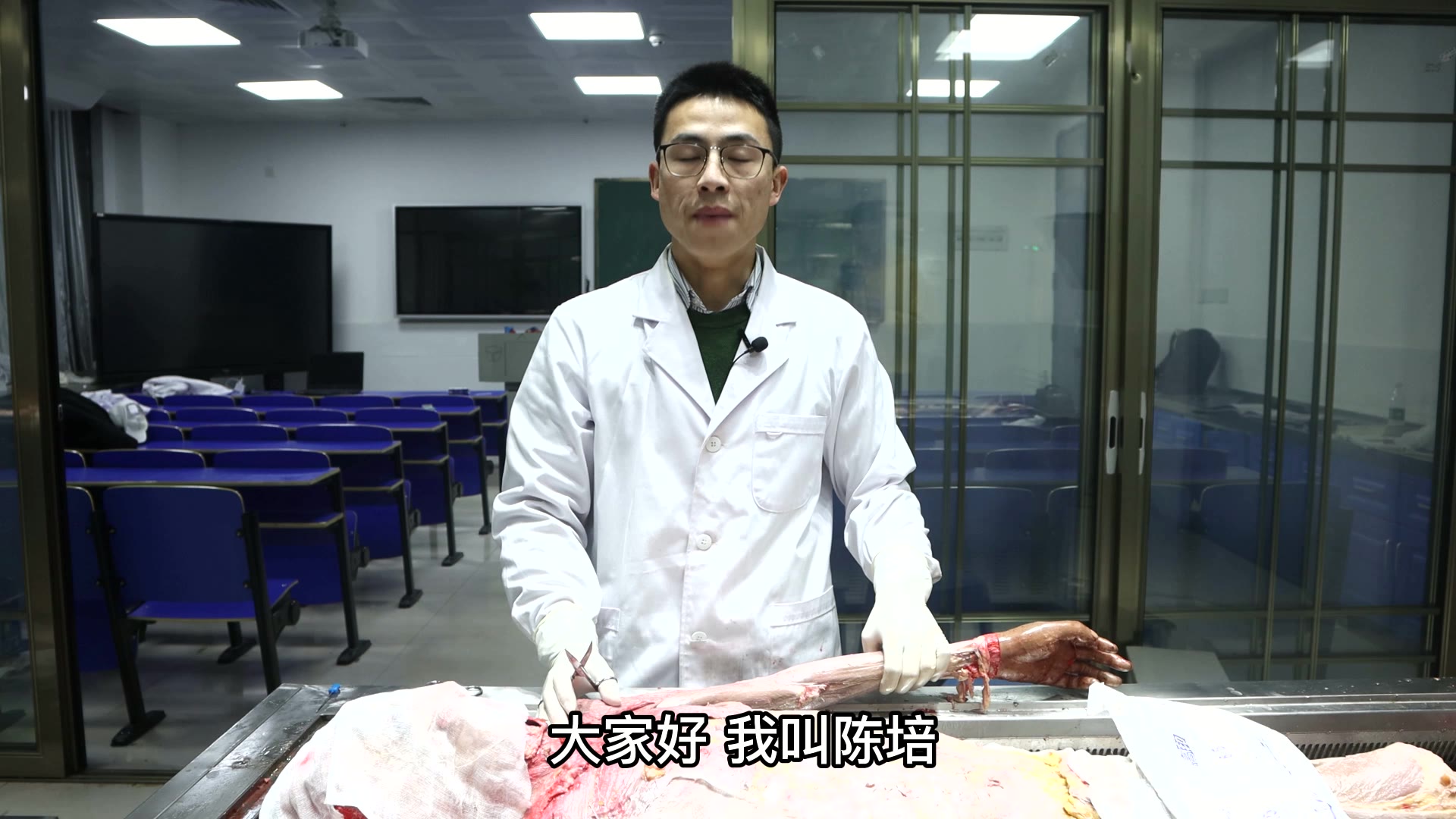 陈培临床解剖10肱二头肌视频封面