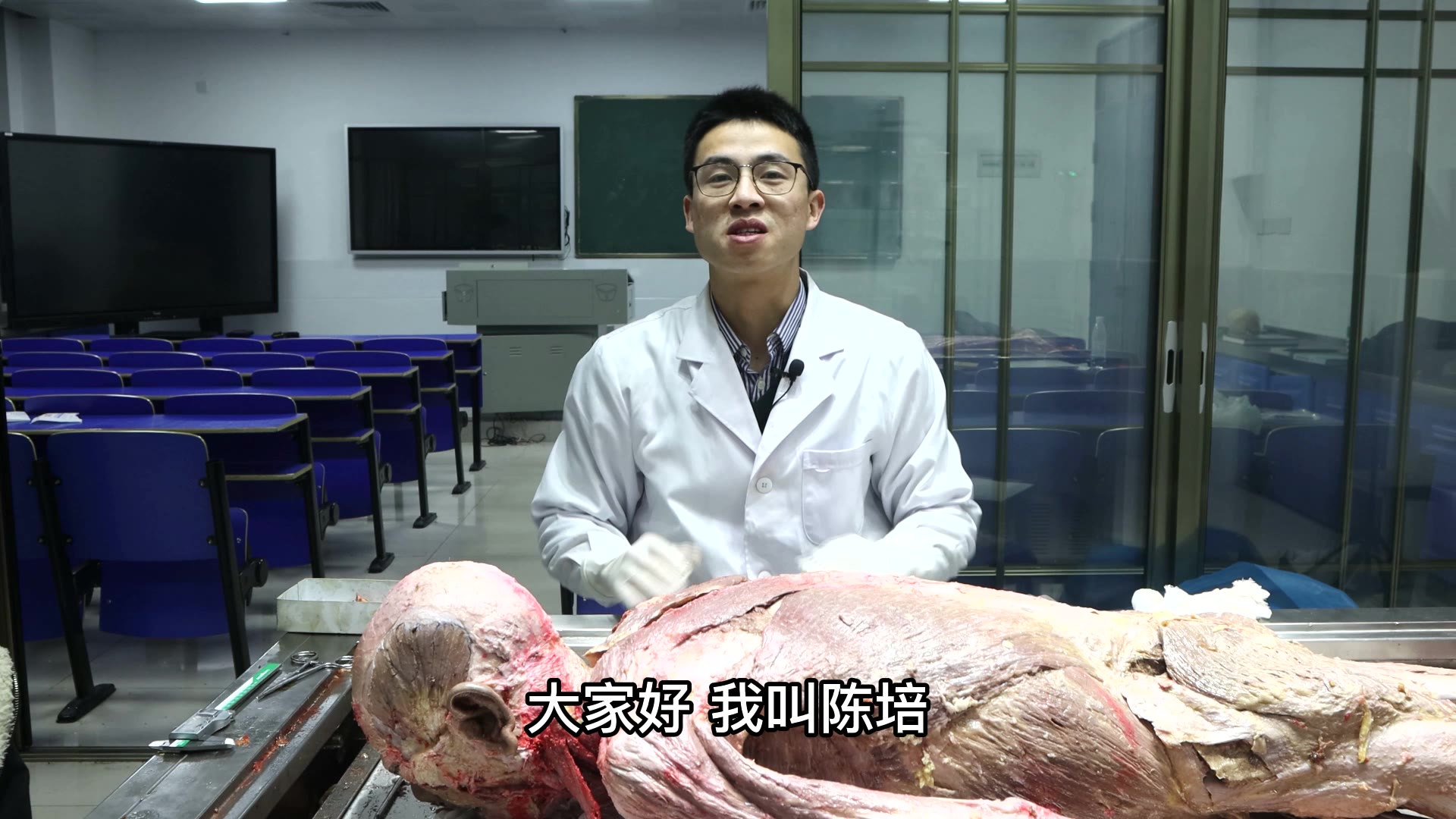 陈培临床解剖11肱三头肌视频封面