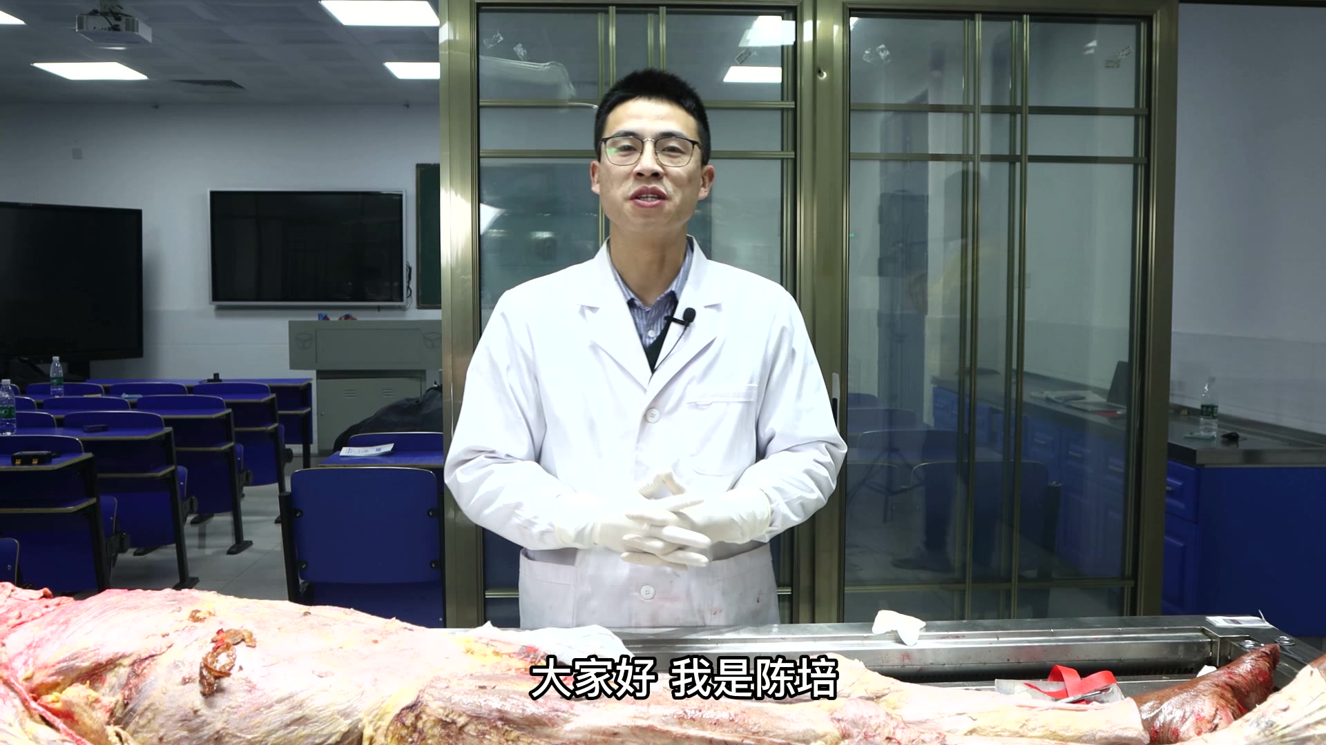 陈培临床解剖13股四头肌视频封面