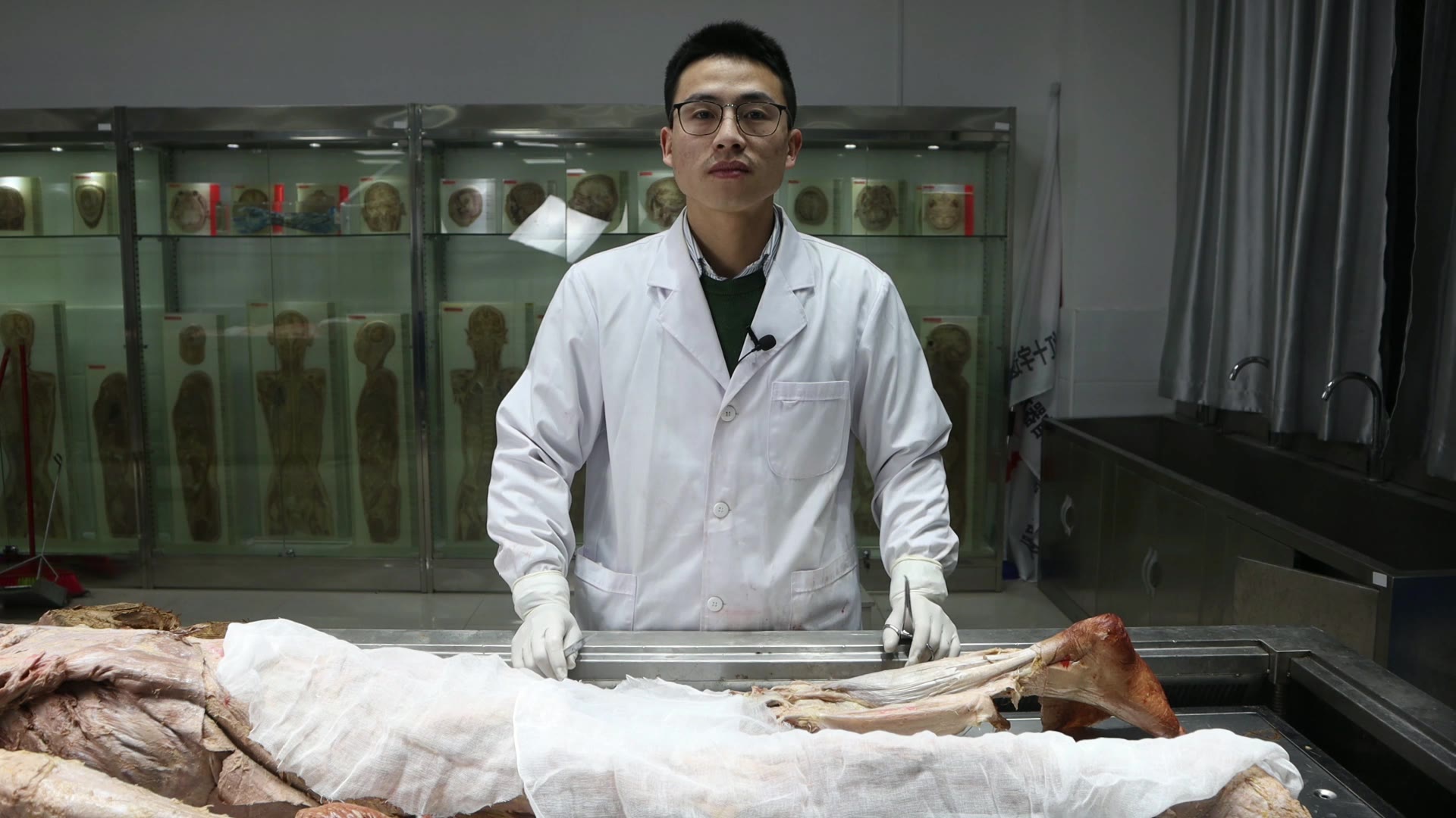陈培临床解剖14腘肌视频封面