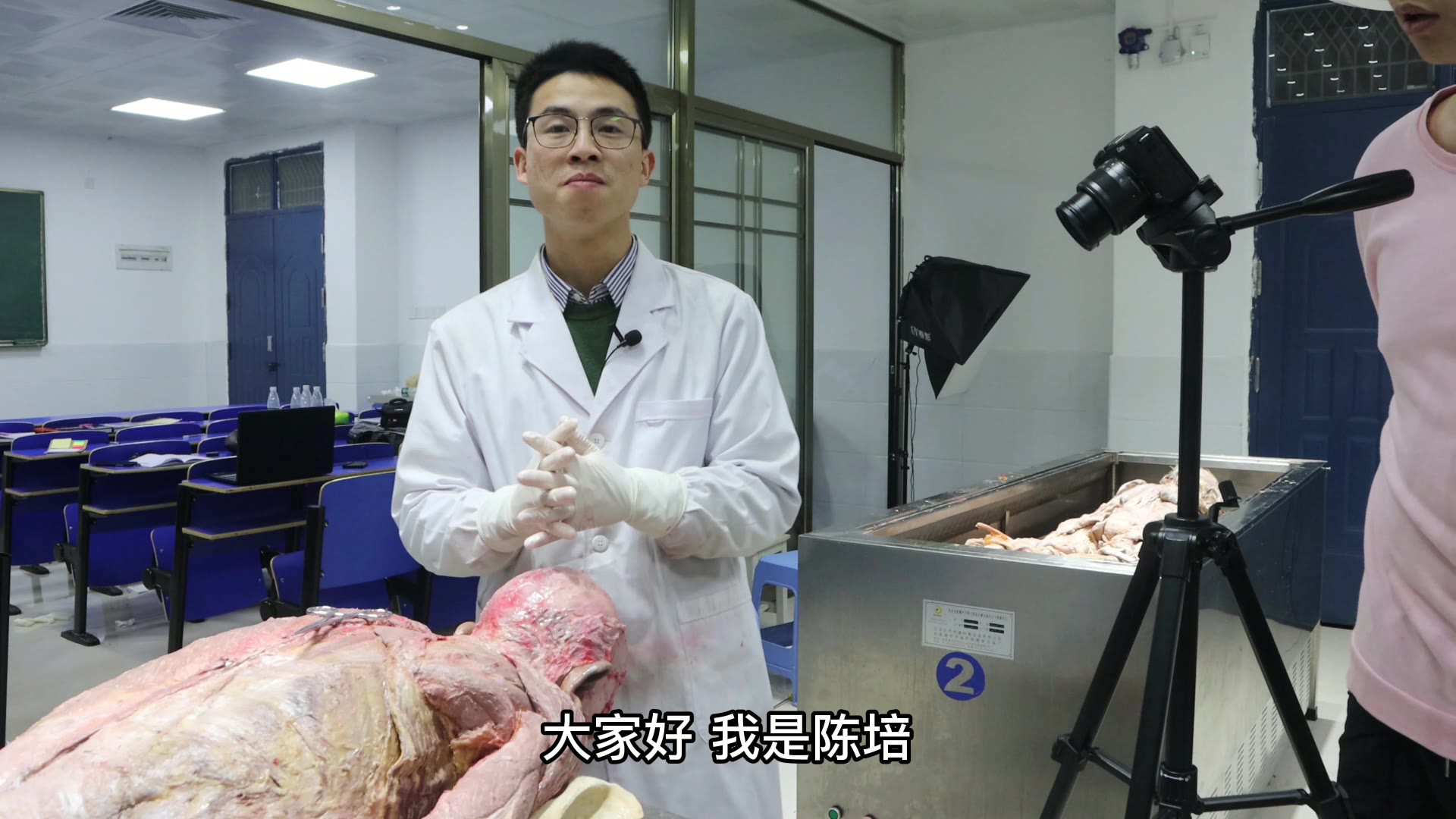 陈培临床解剖15肩胛提肌视频封面