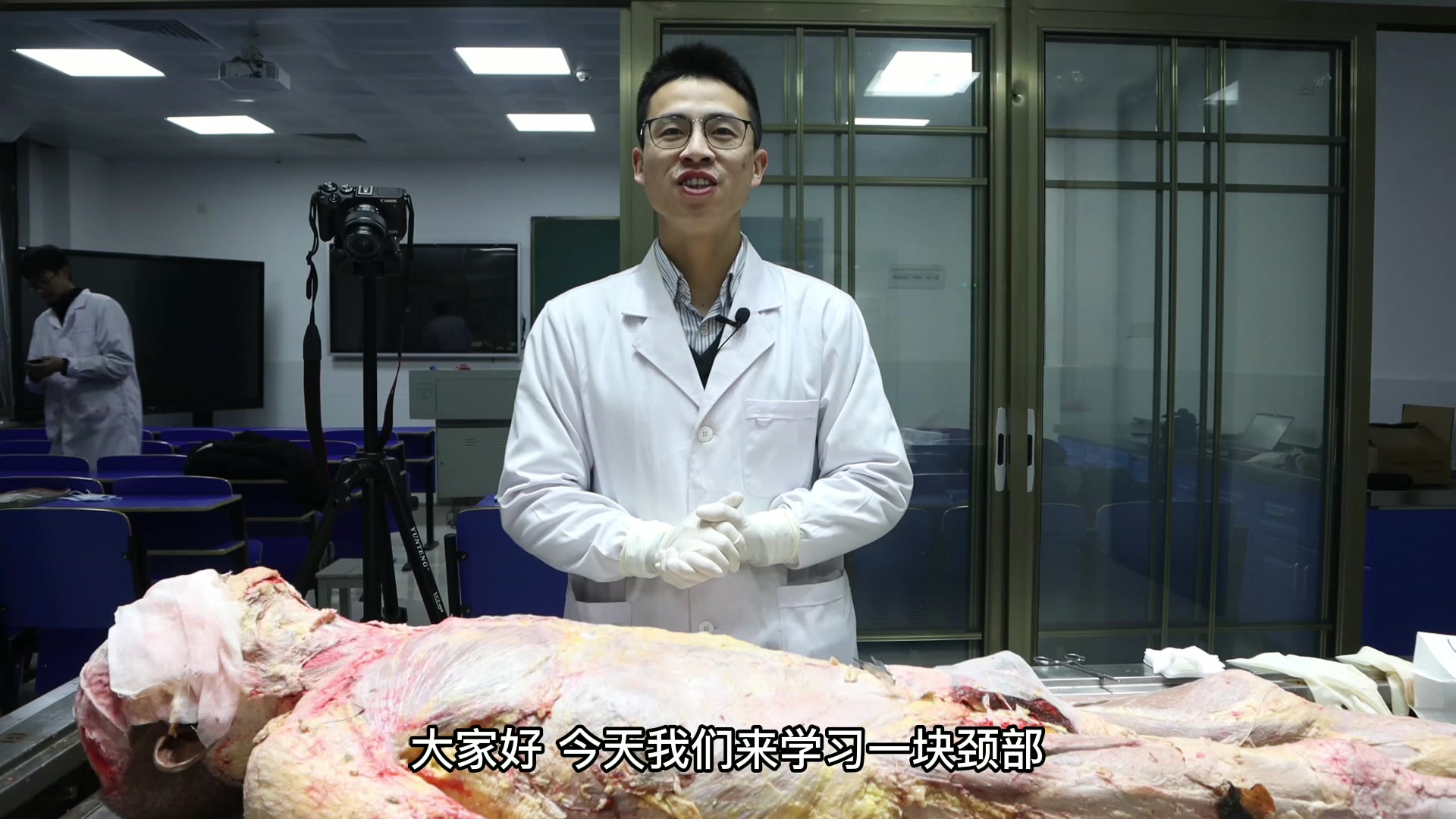 陈培临床解剖16颈阔肌视频封面