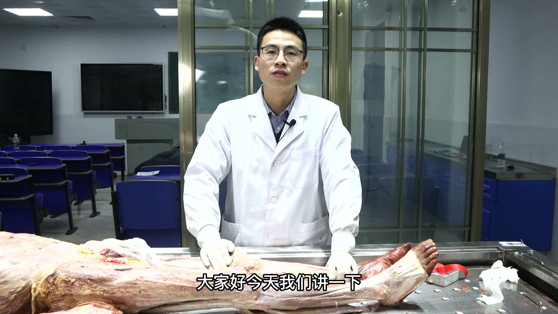 陈培临床解剖17胫骨前肌视频封面