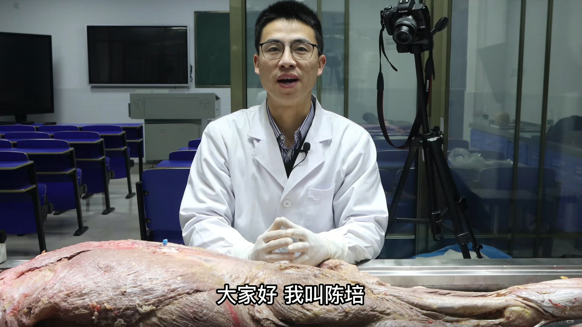 陈培临床解剖19梨状肌视频封面