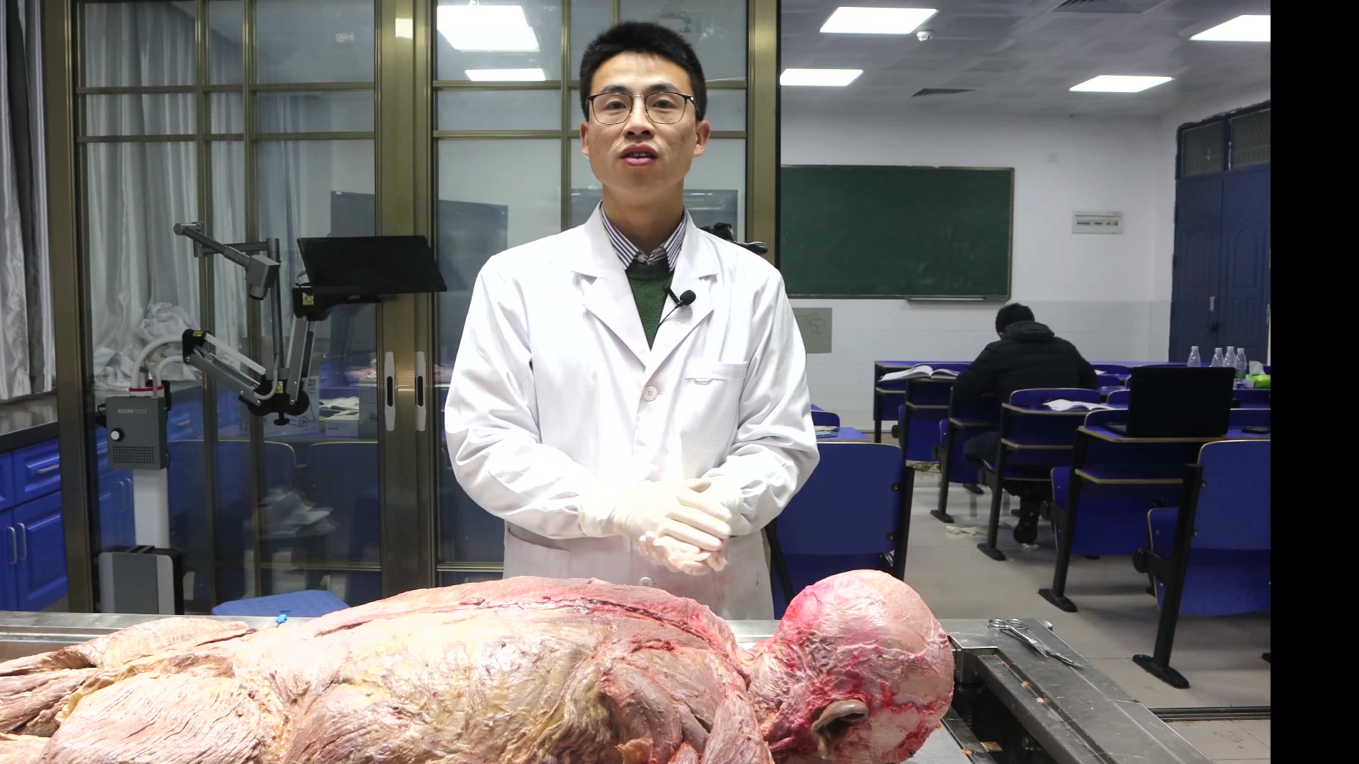 陈培临床解剖20菱形肌视频封面