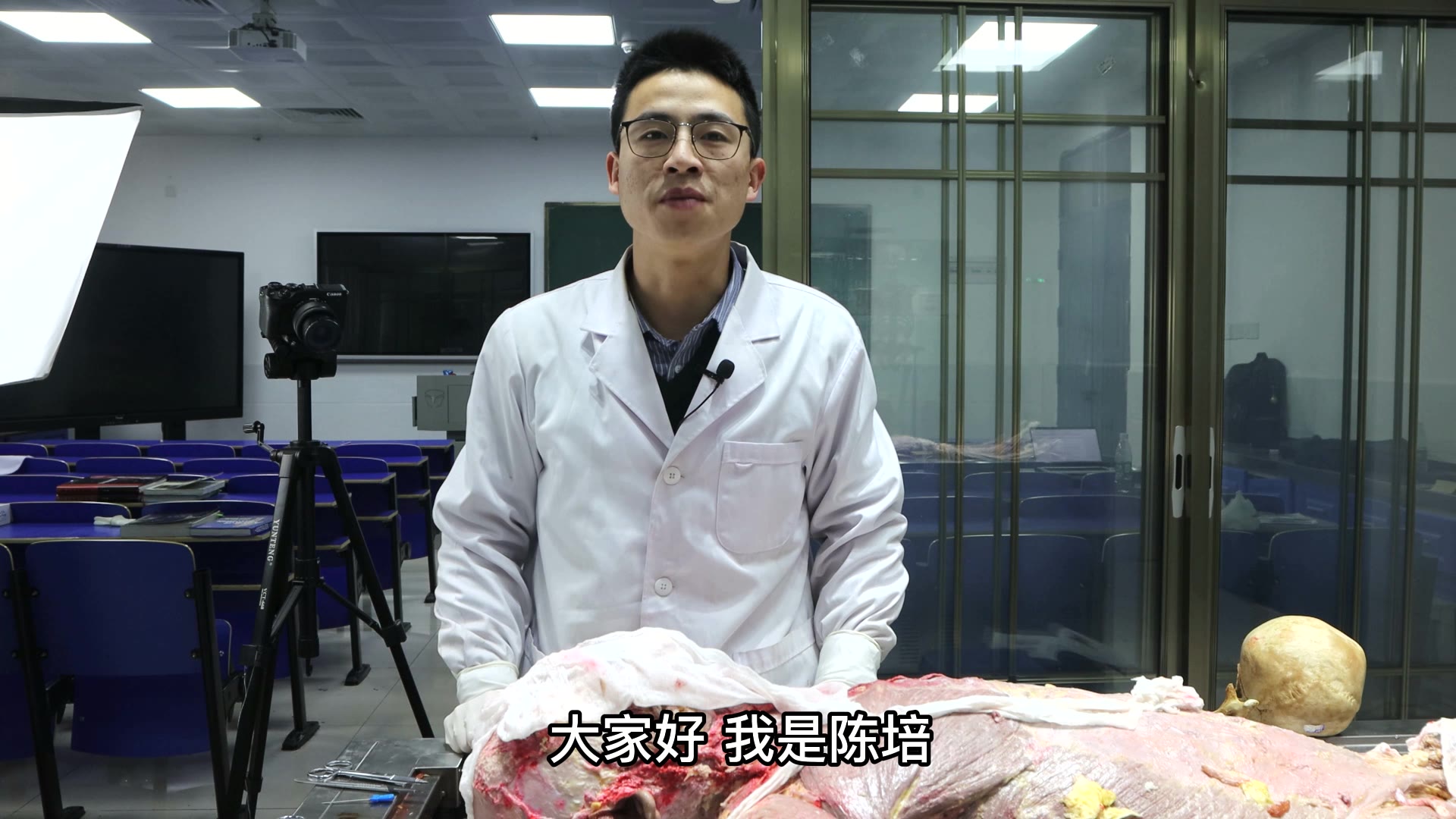陈培临床解剖22颞肌视频封面