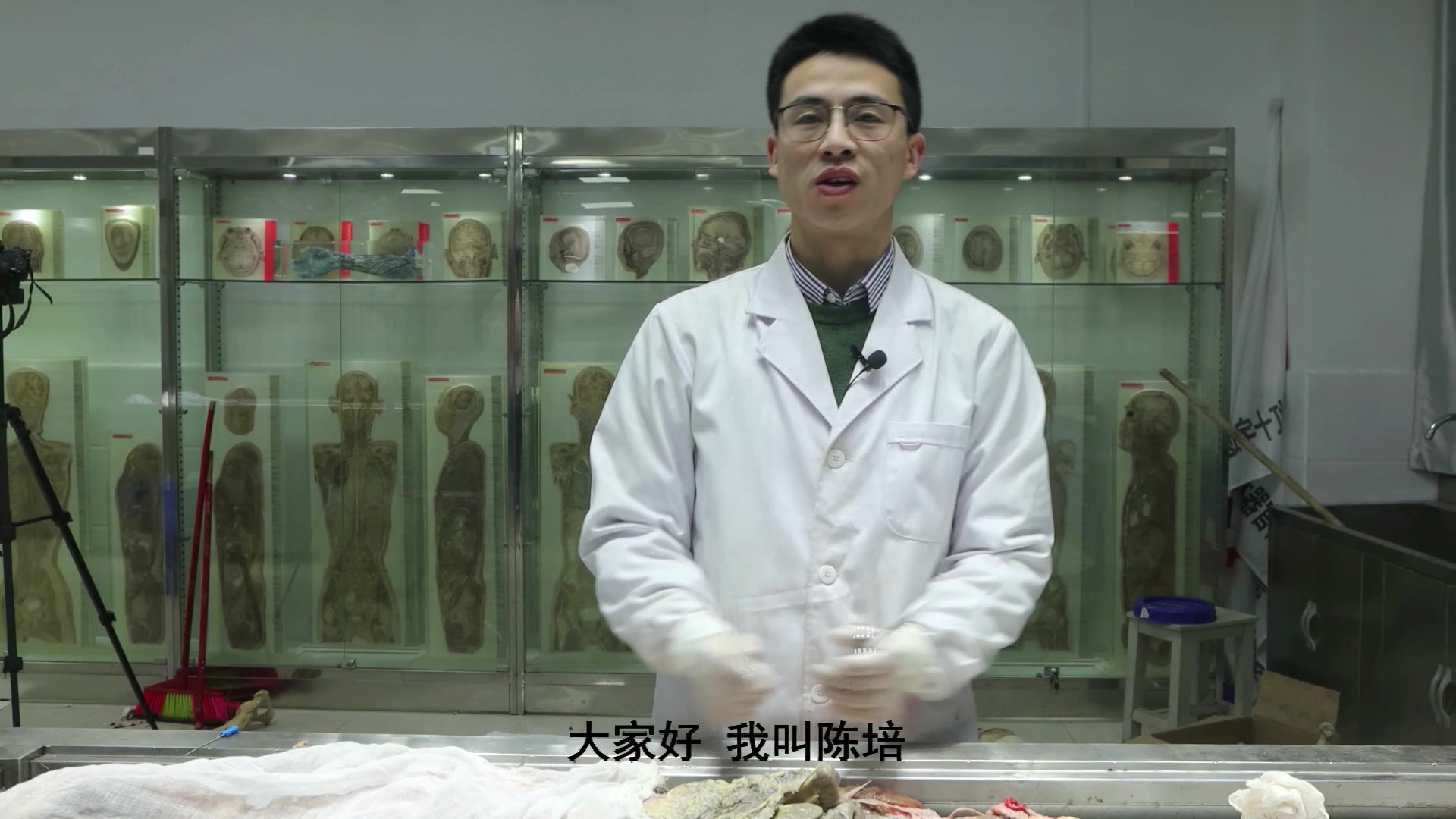 陈培临床解剖23髂腰肌更新视频封面