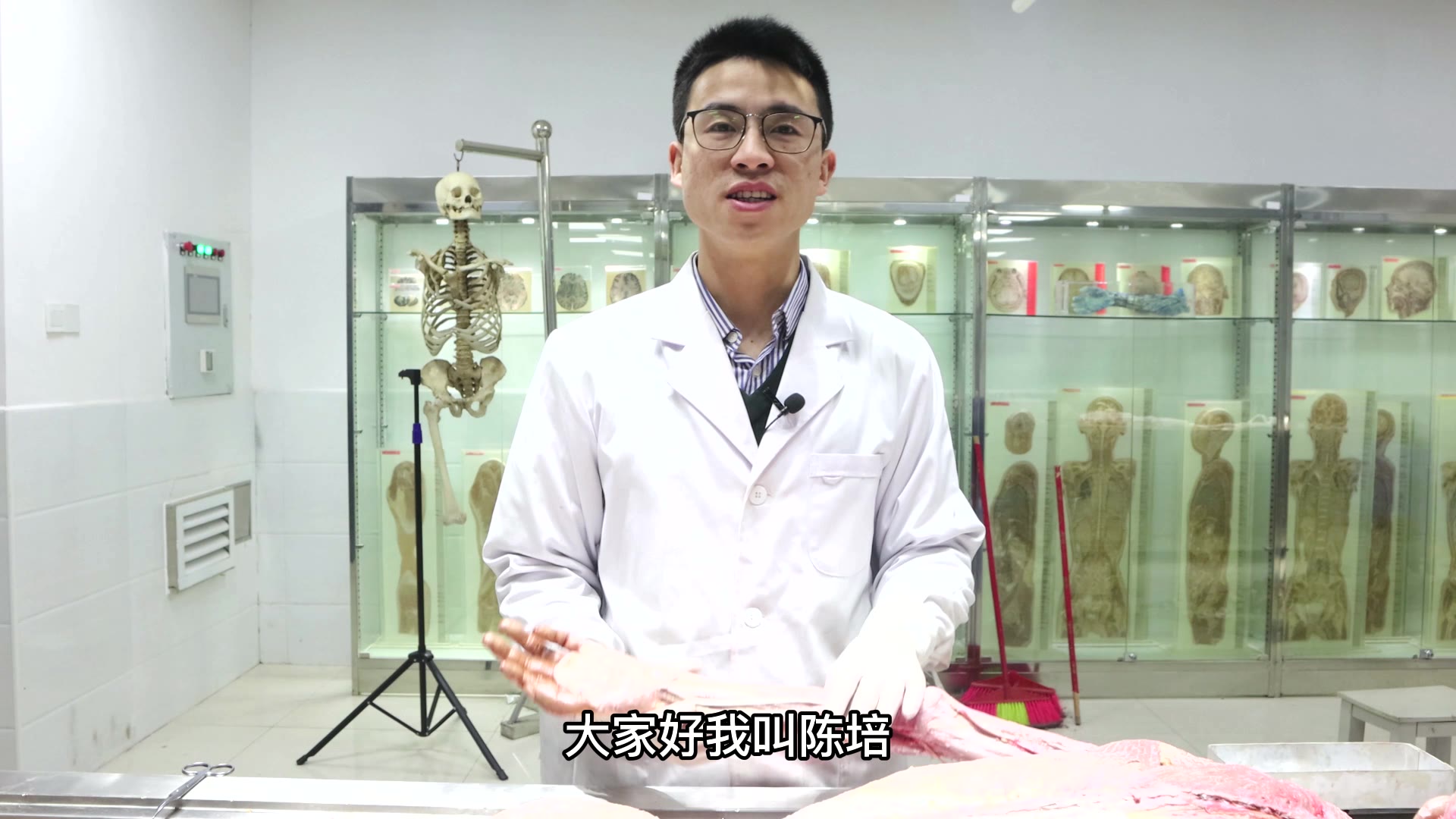 陈培临床解剖24前臂后群肌肉视频封面