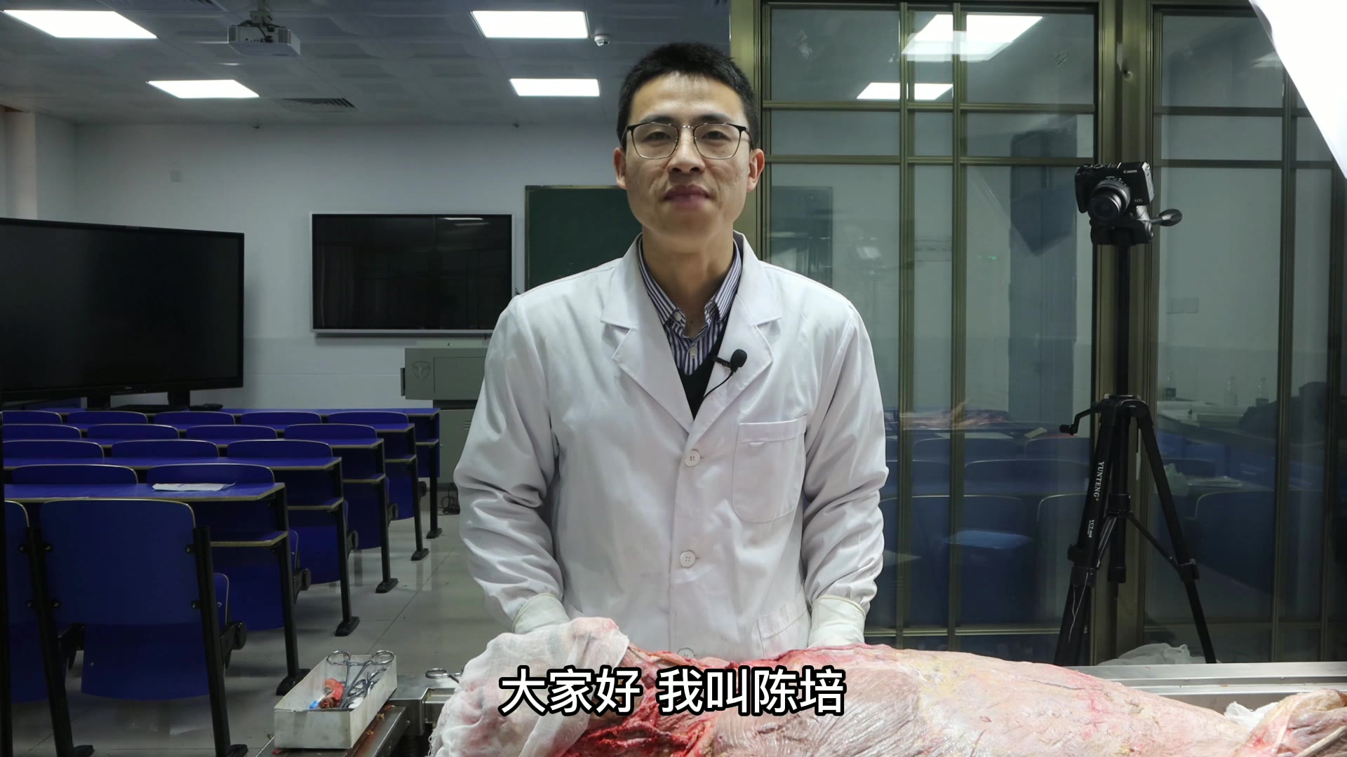 陈培临床解剖25前锯肌视频封面