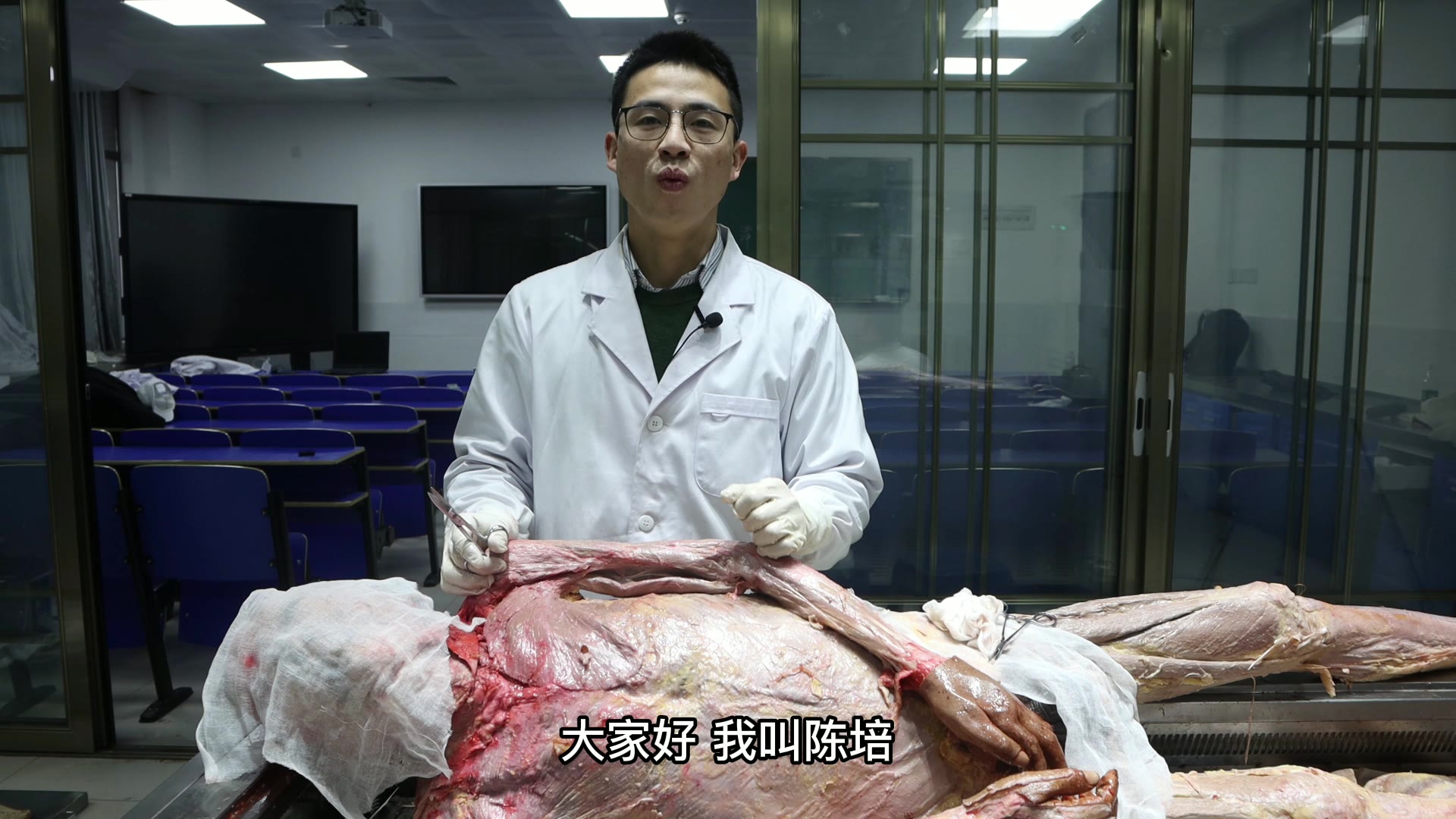 陈培临床解剖26三角肌视频封面