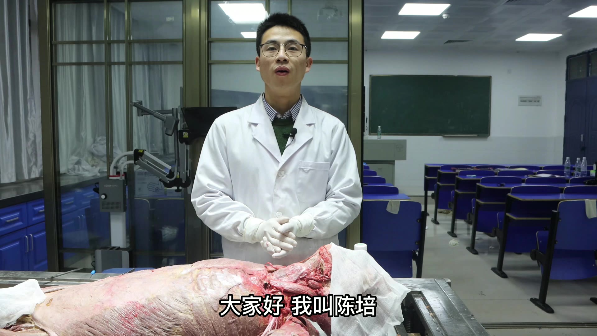 陈培临床解剖28舌骨肌视频封面