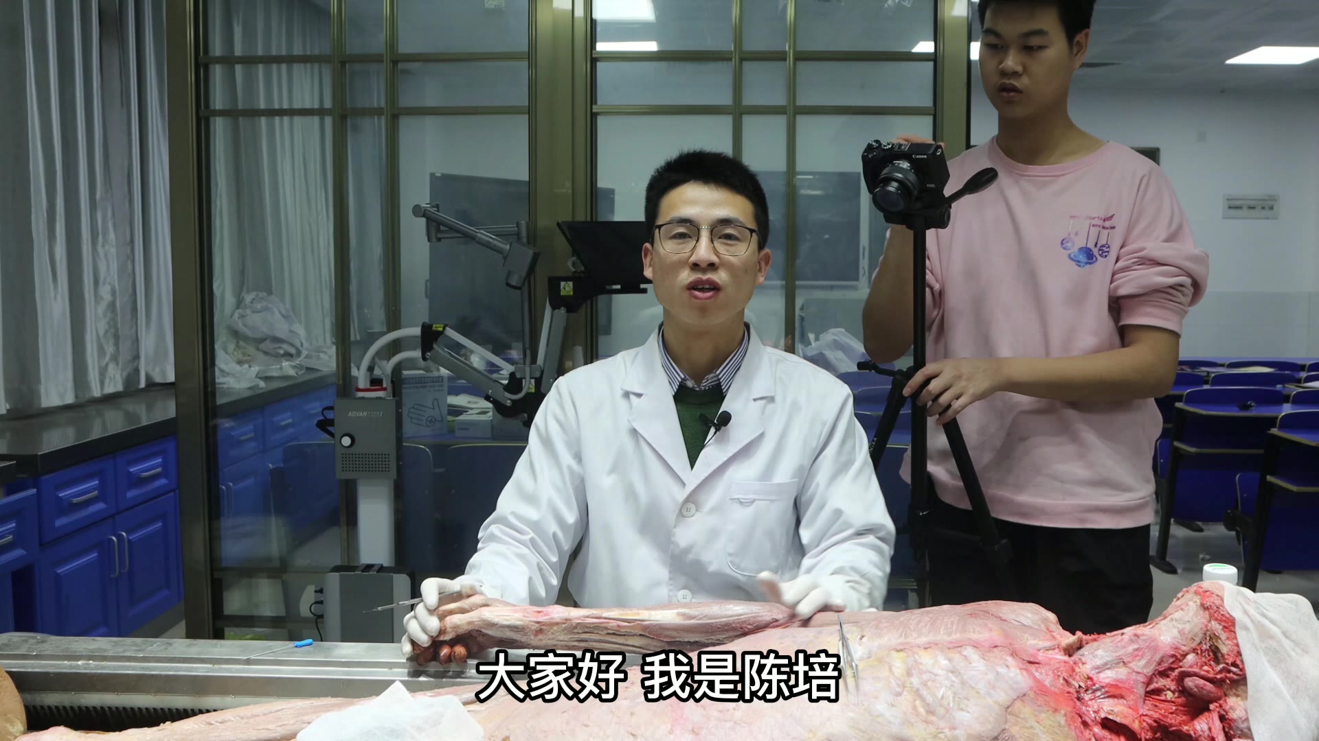 陈培临床解剖29手臂后群视频封面