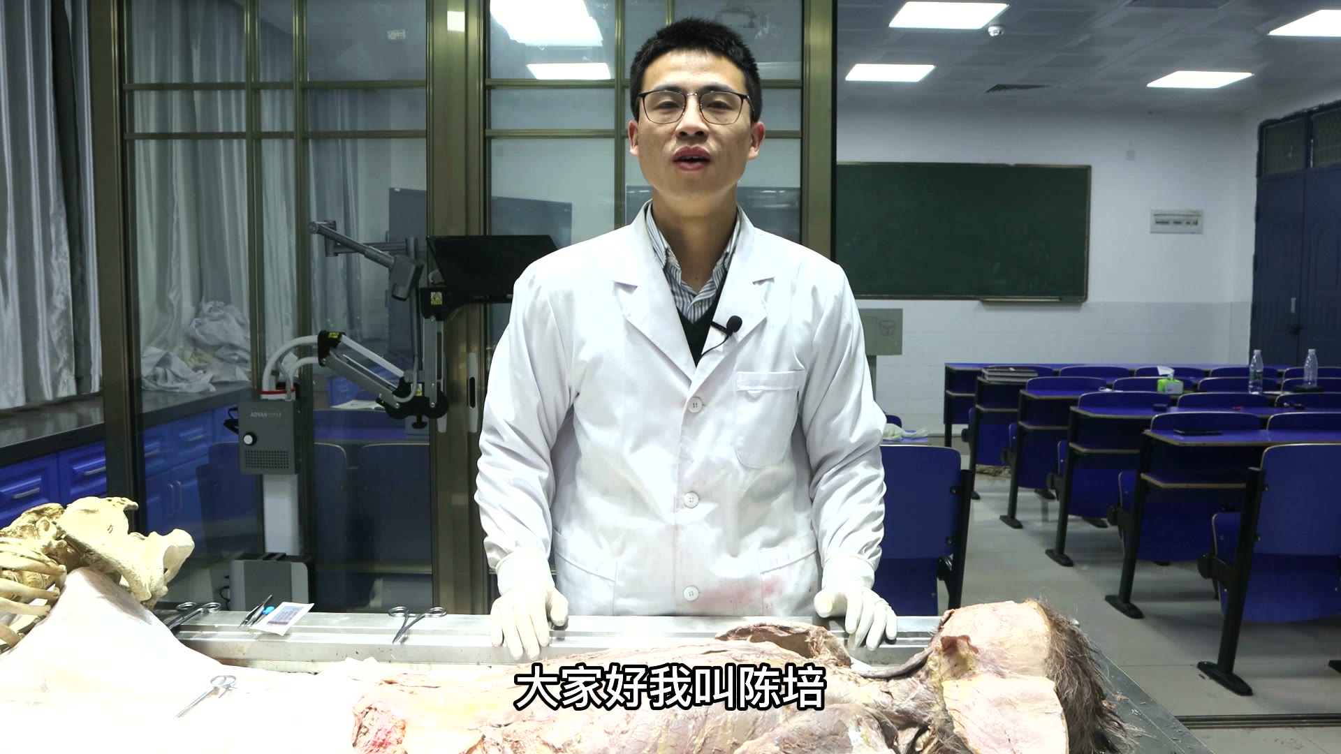 陈培临床解剖31竖脊肌视频封面