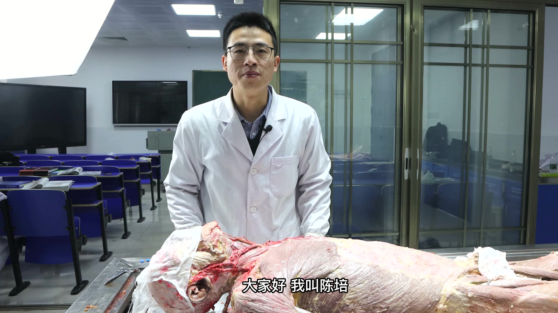 陈培临床解剖32锁骨下肌视频封面