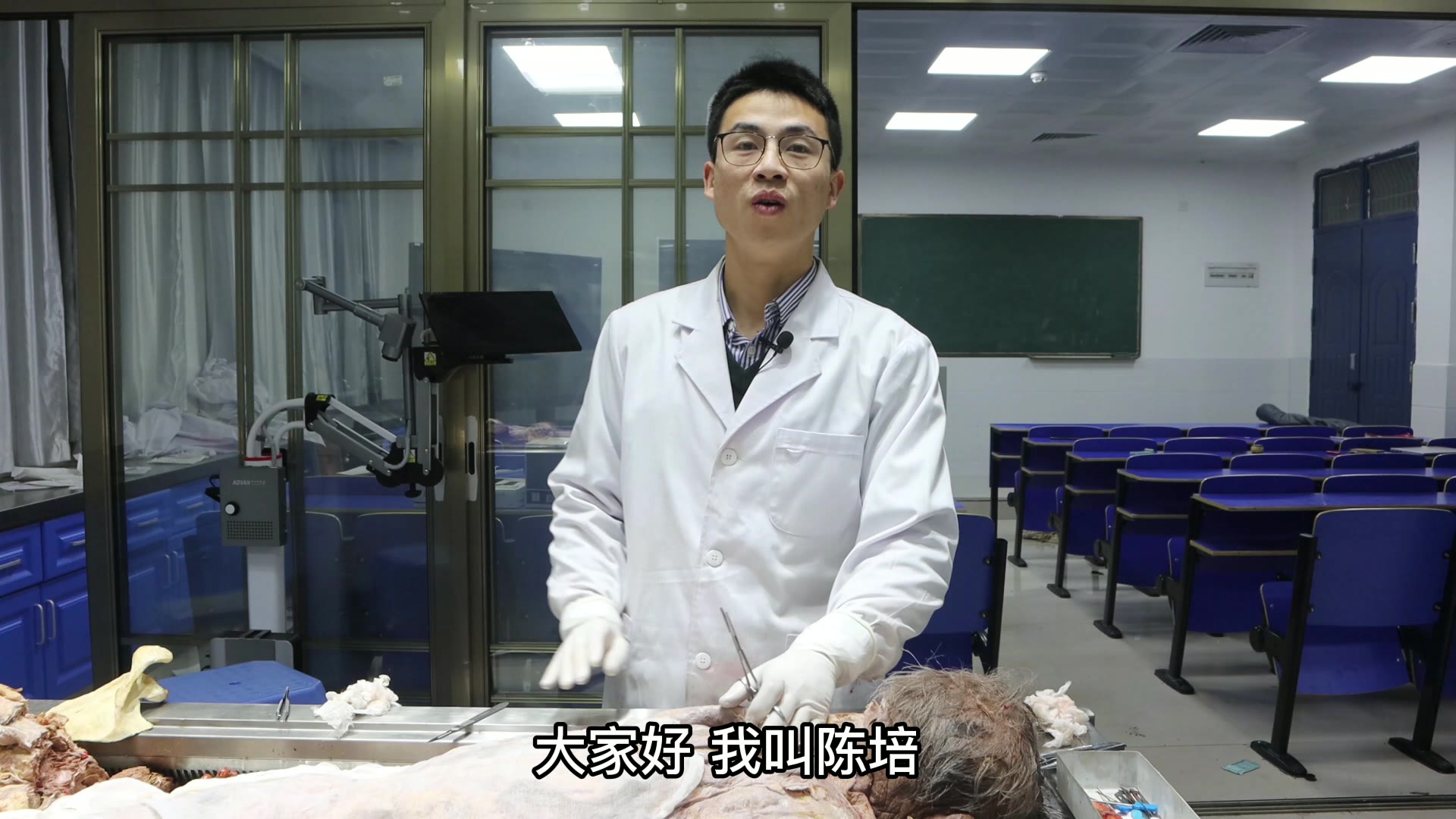 陈培临床解剖33头颈夹肌视频封面