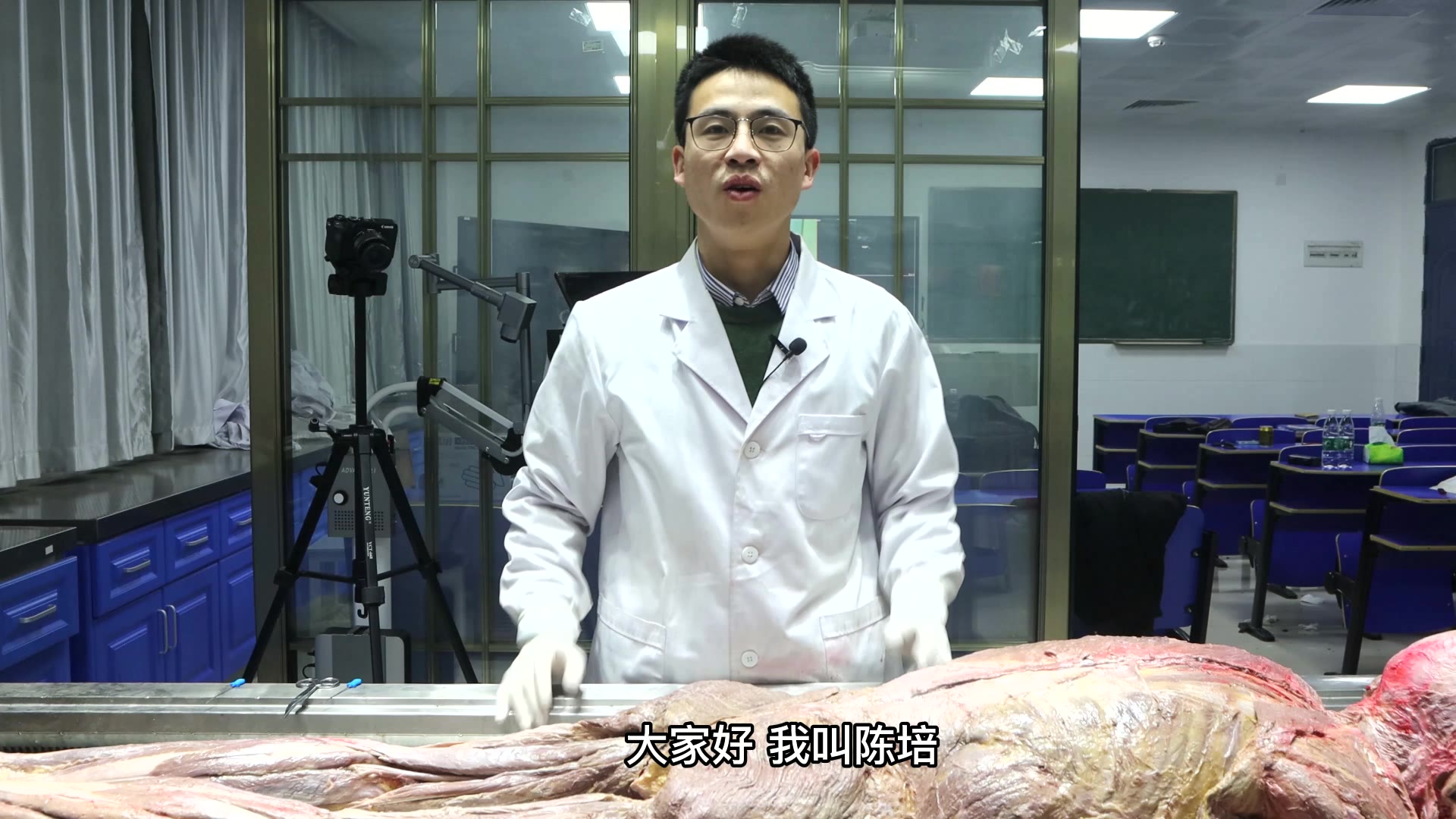 陈培临床解剖34臀大肌视频封面