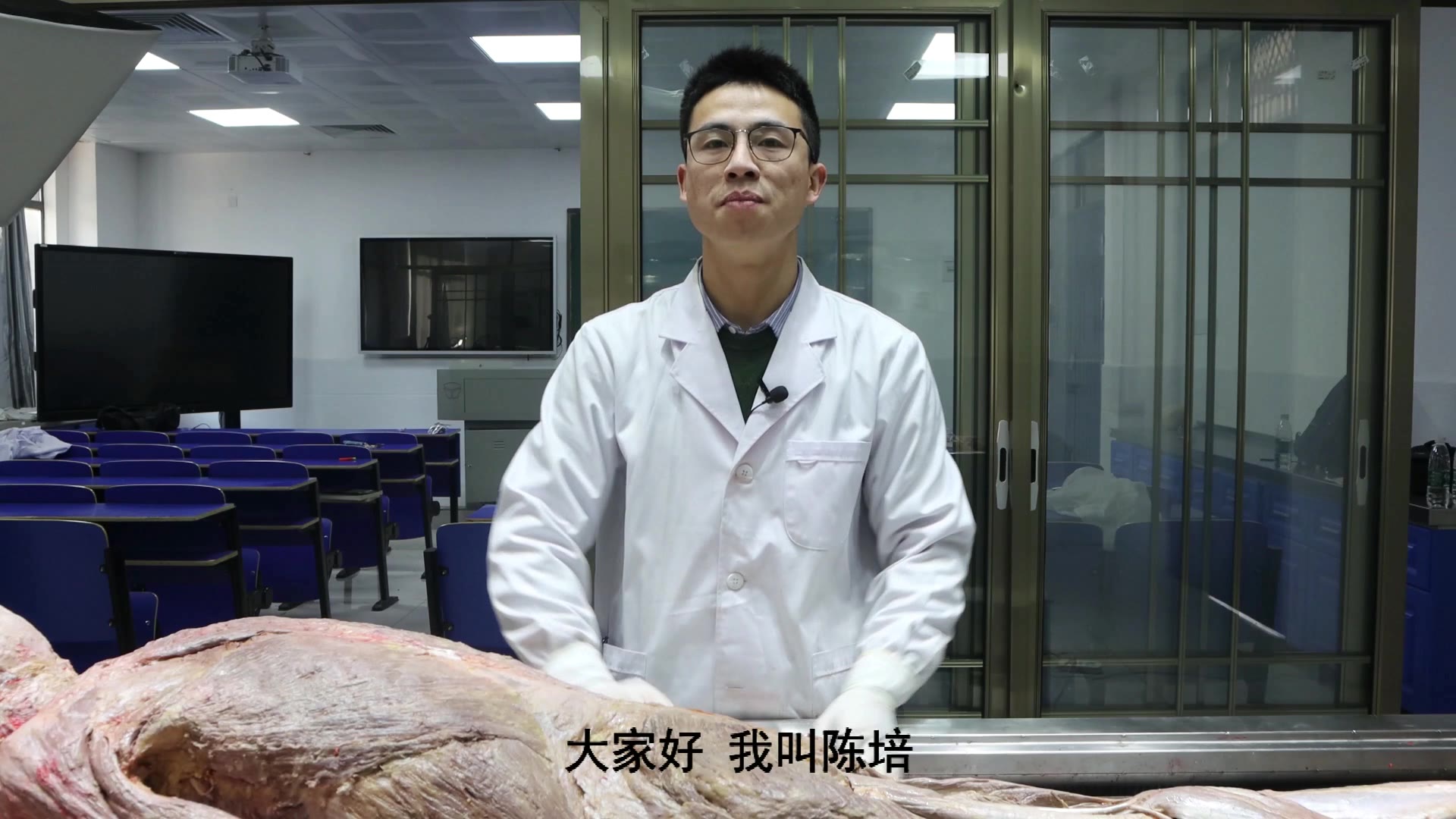 陈培临床解剖35臀中小肌视频封面
