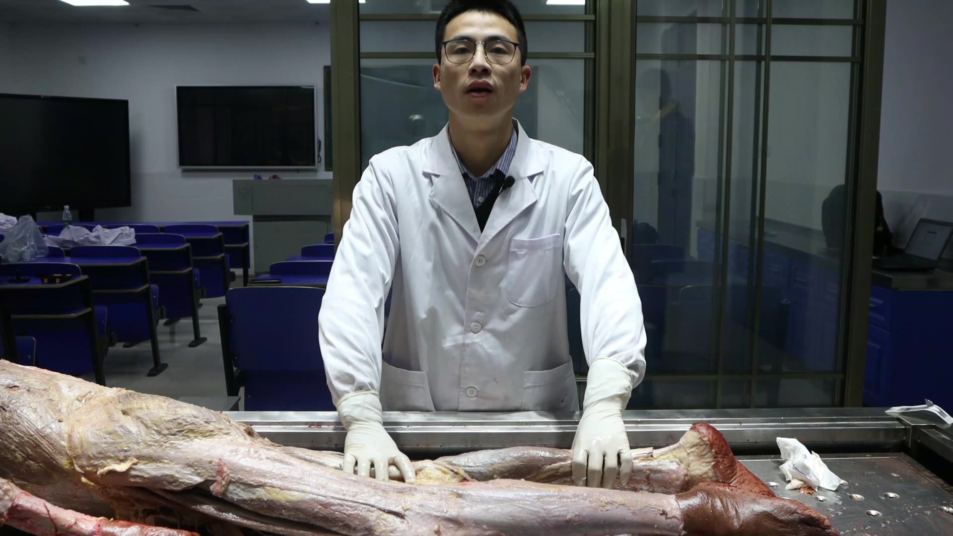 陈培临床解剖36小腿三头肌视频封面