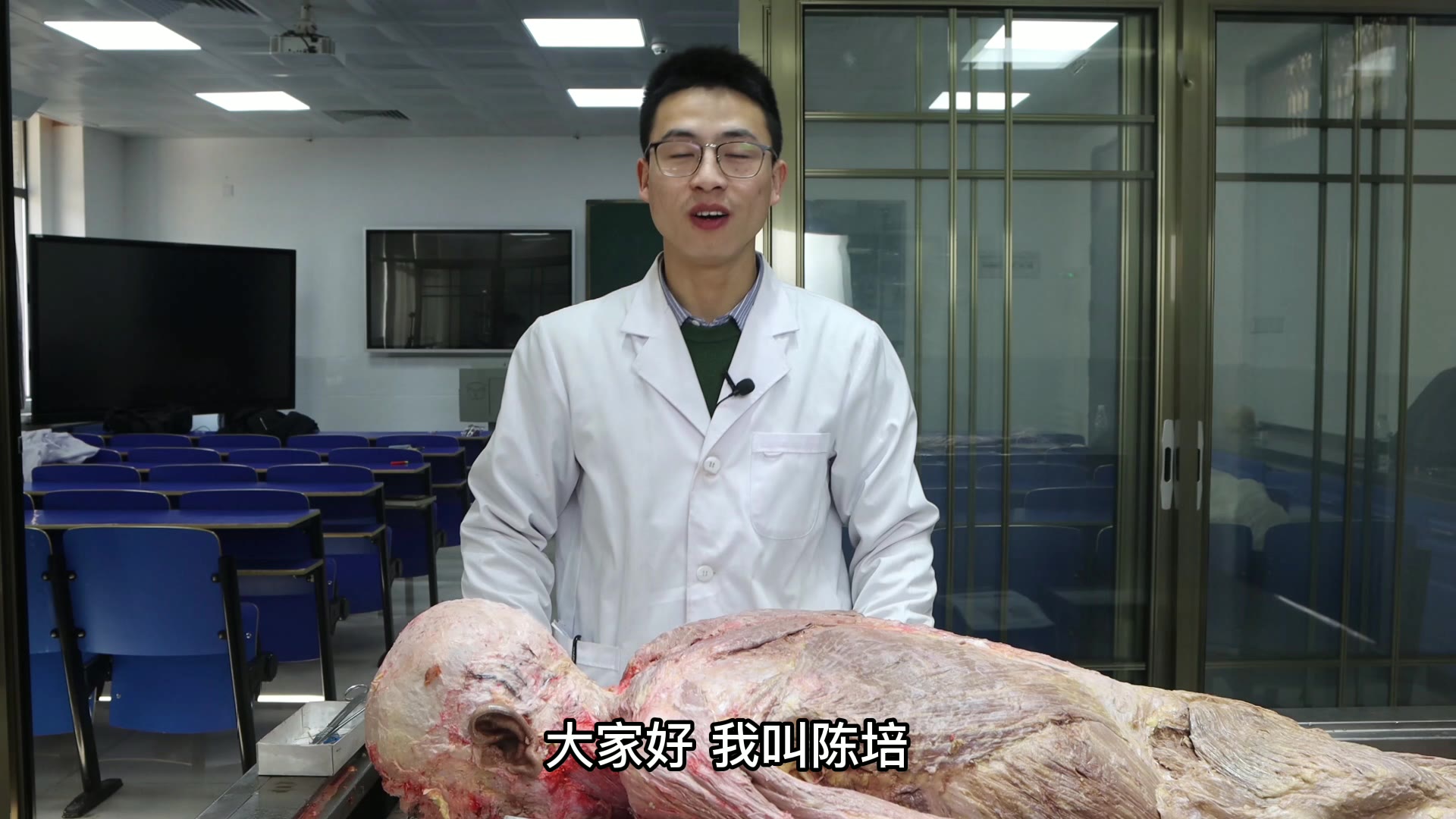 陈培临床解剖37小圆肌视频封面