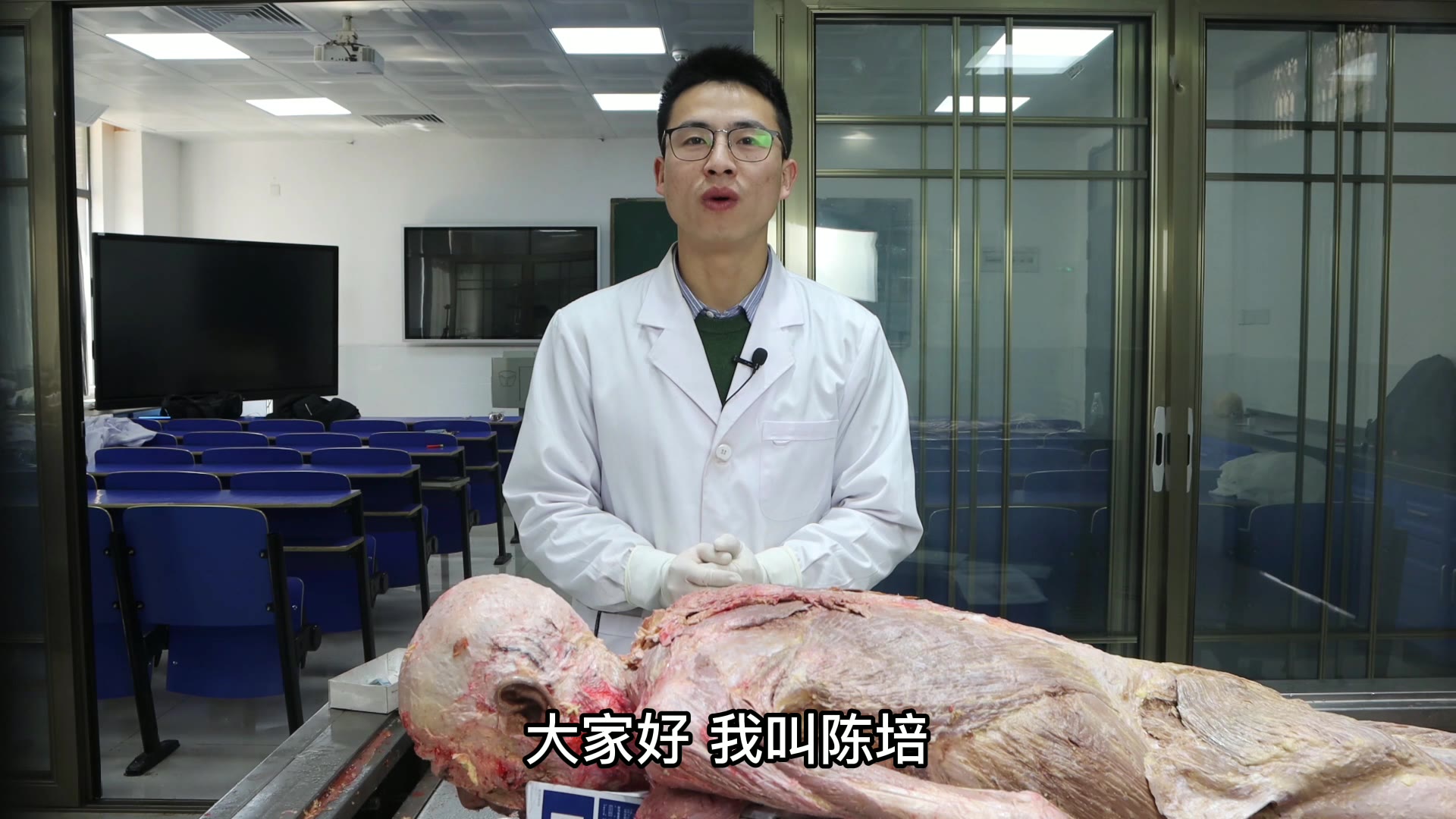 陈培临床解剖38斜方肌视频封面