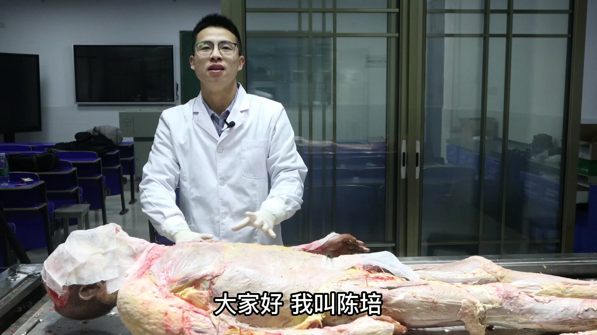 陈培临床解剖40胸大肌视频封面