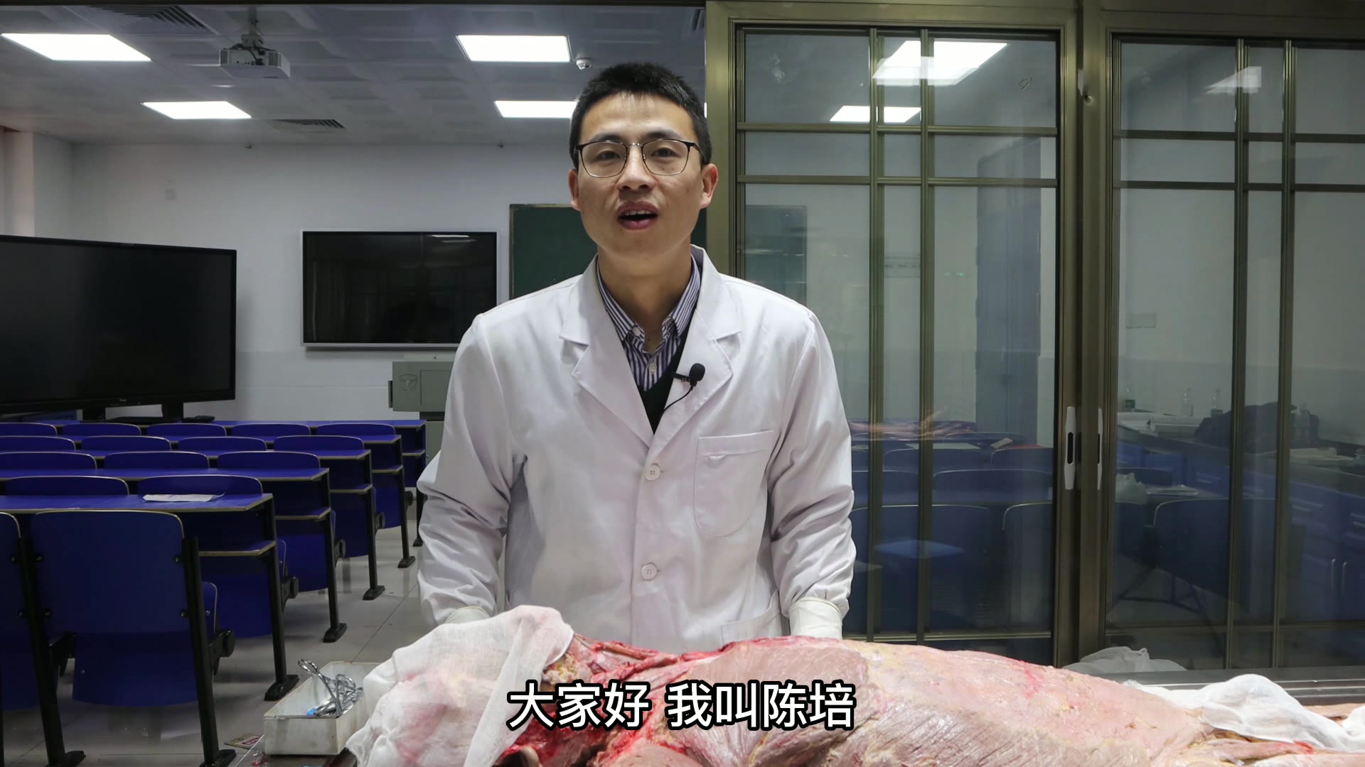陈培临床解剖41胸锁乳突肌视频封面