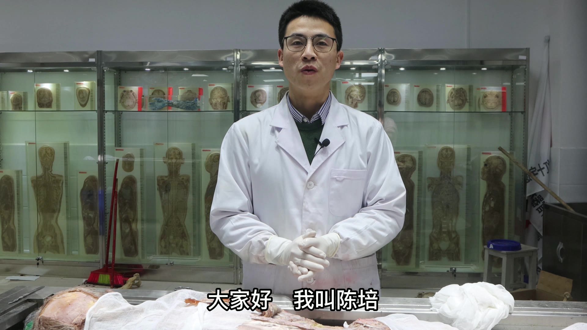 陈培临床解剖43腰方肌视频封面