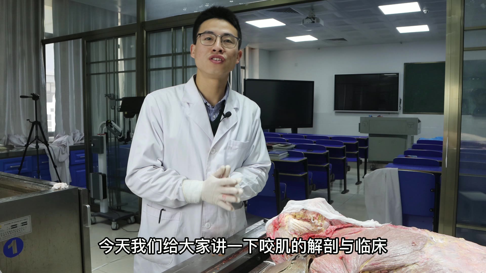 陈培临床解剖44咬肌视频封面
